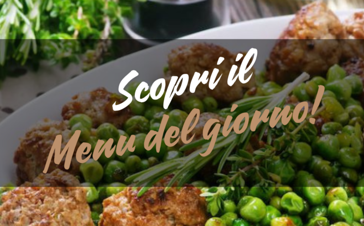  Menù del 11/06/2025