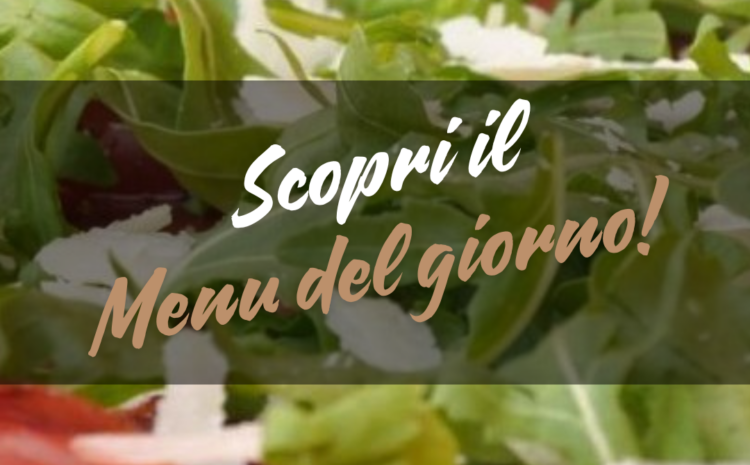  Menù del 28/05/2025