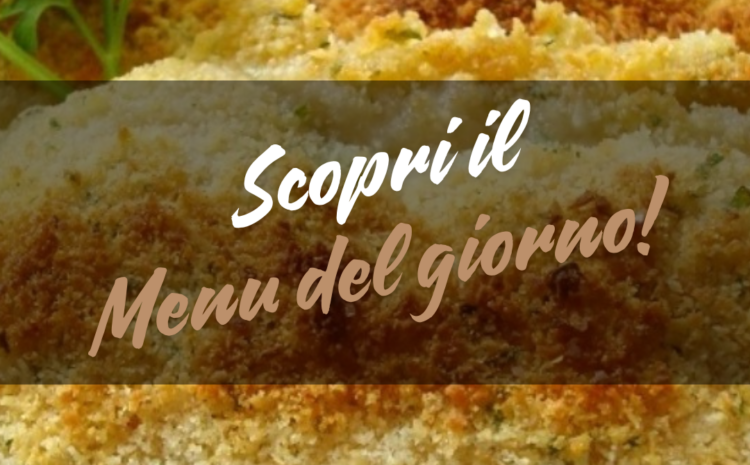  Menù del 13/06/2025